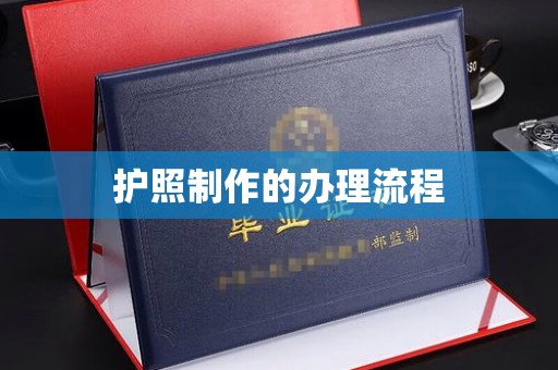 巴塘护照制作的办理流程